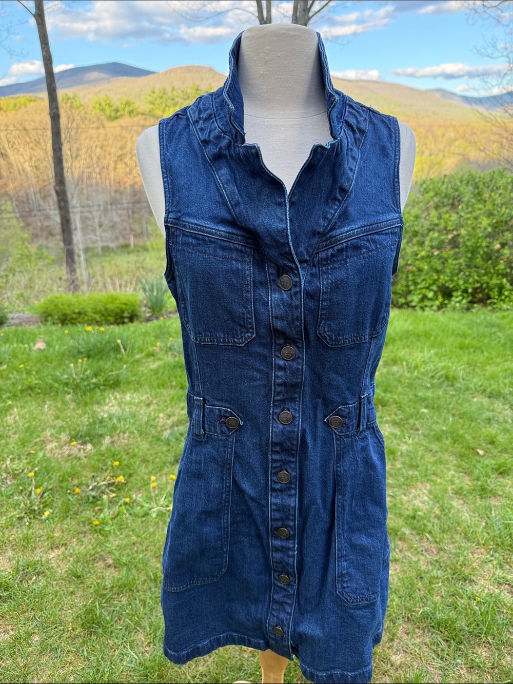 American Eagle Outfitters Dark Blue Denim Button-Front Dress